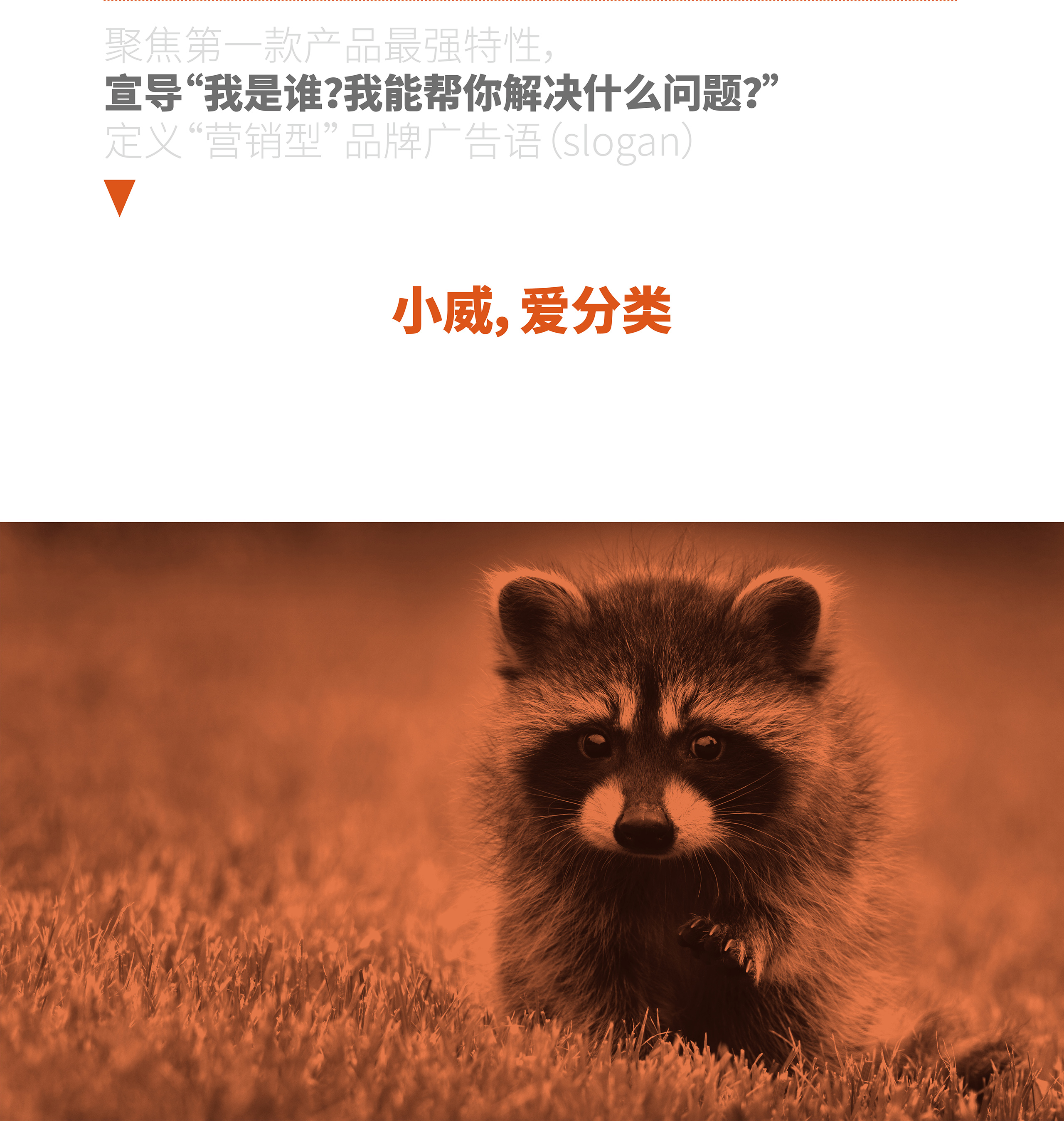 uploads/image/20220722/1658474091.jpg